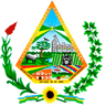 Escudo de Cuatro Cañadas